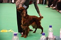 Crufts2011 461